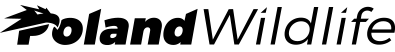 logo_pw_ostre